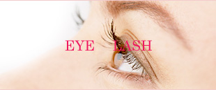 �܂уG�N�X�e